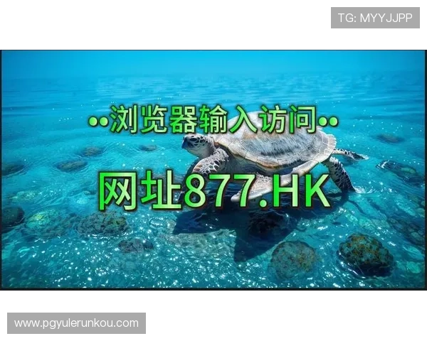 dafa娱乐场经典版：平台安全措施与隐私保护策略，保障玩家信息安全的详细解读